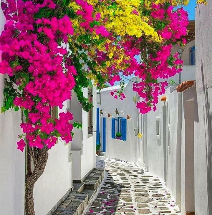 Melina'S House Mykonos Town Apartment ภายนอก รูปภาพ